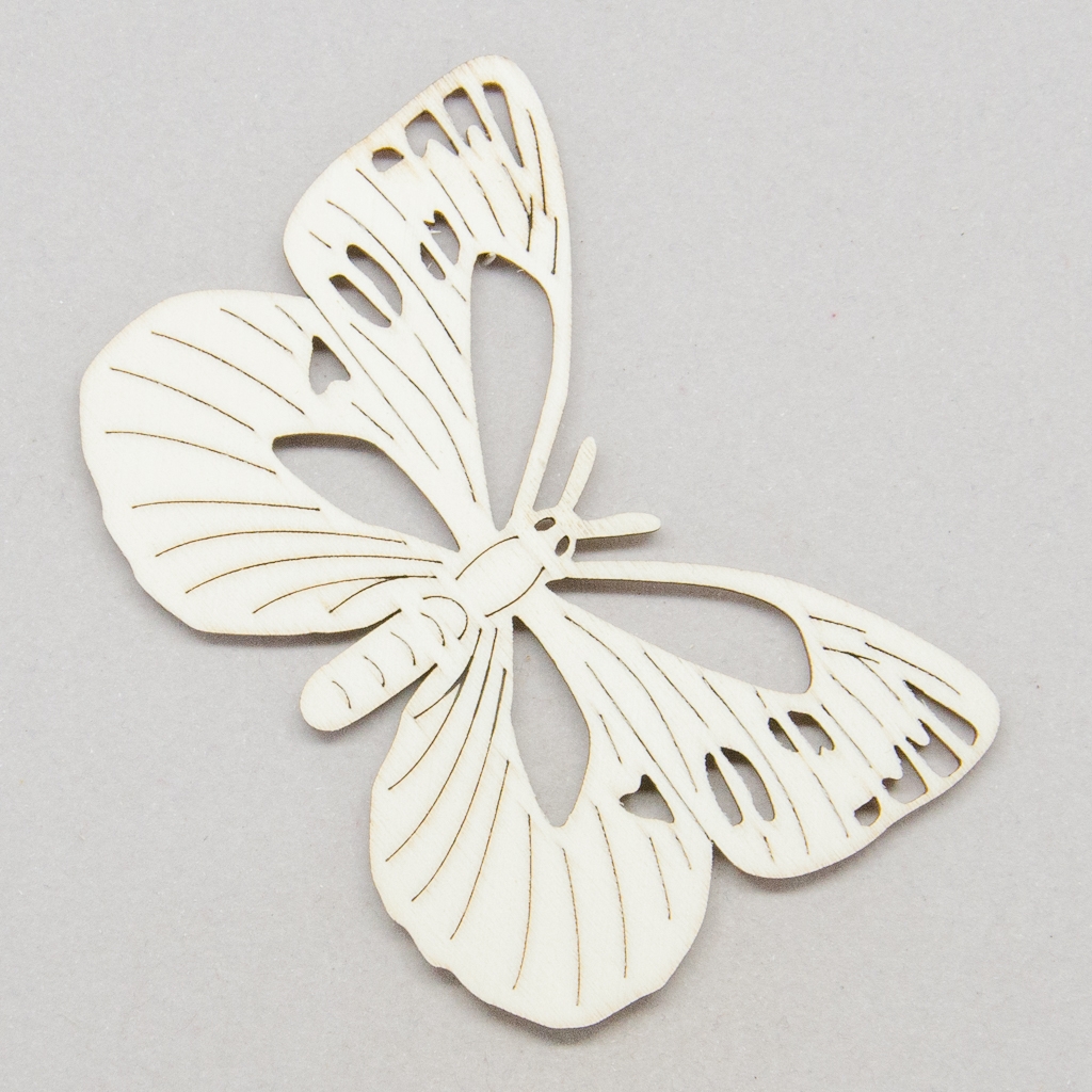 Schmetterling Veilchenfalter