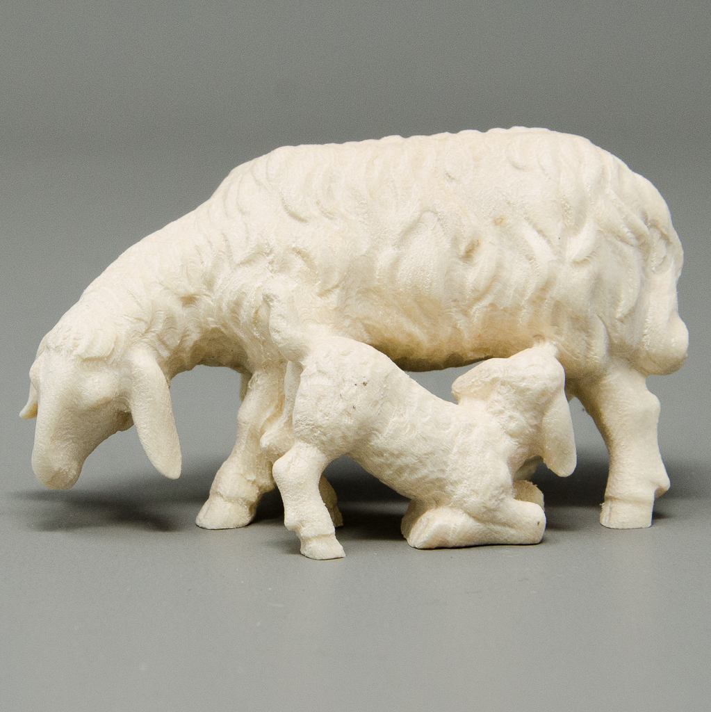 Schaf mit trinkendem Lamm
