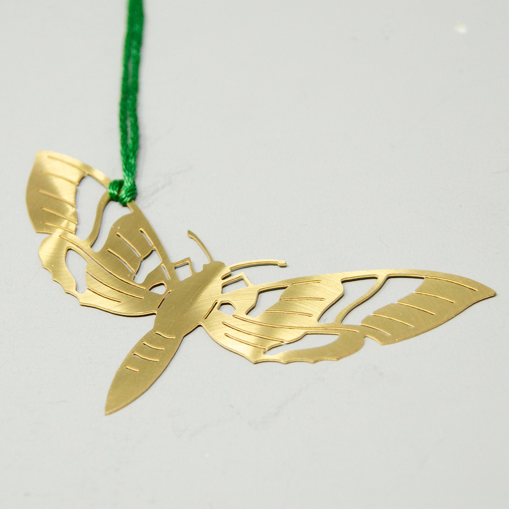Nachtschmetterling