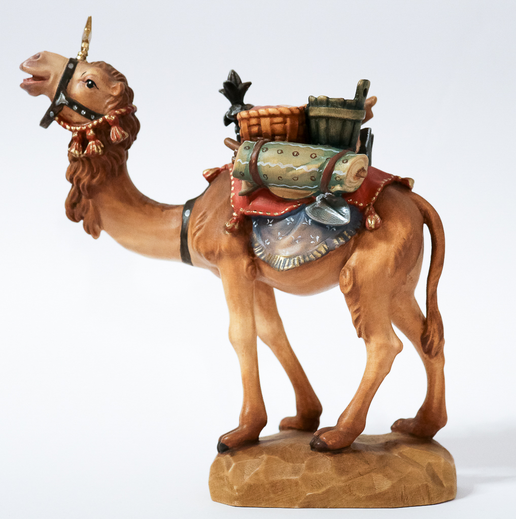 Kamel mit Gepäck