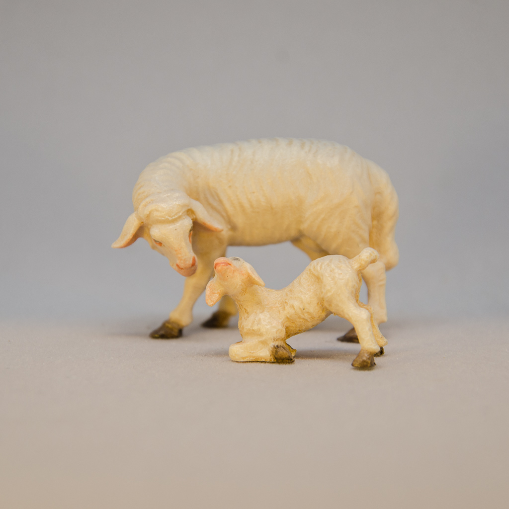 Schaf mit Lamm
